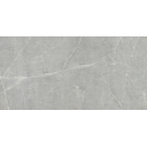 STERLINA II - 12X24, GRAY, MATTE